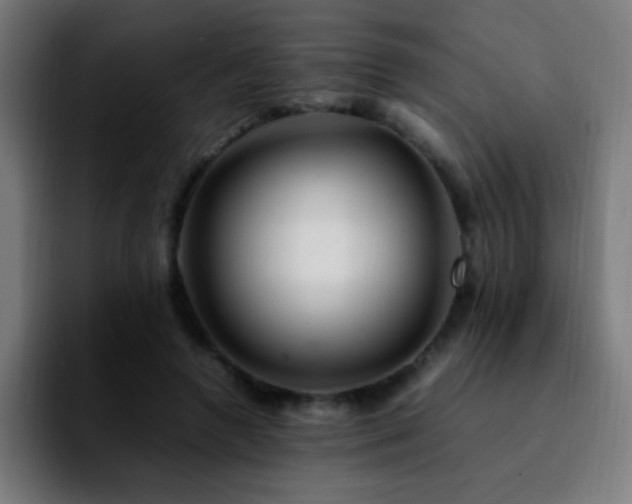 X0000092280546200709211157