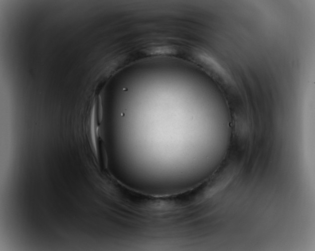 X0000092280549200709211157