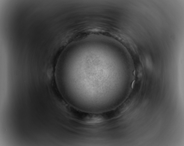 X0000092280559200709211157