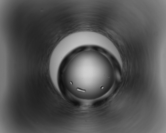 X0000092280560200709211157