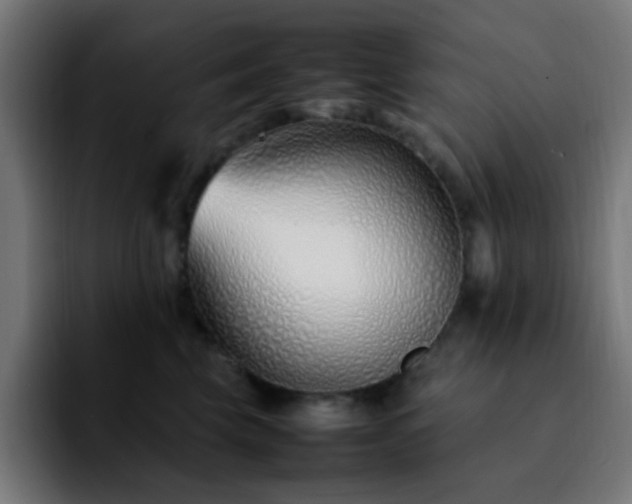 X0000092280569200709211157