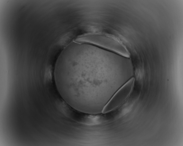 X0000092280570200709211157