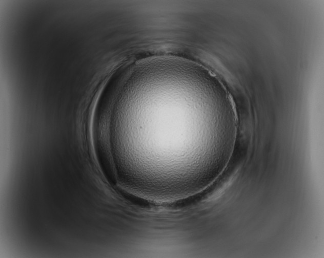 X0000092280585200709211157