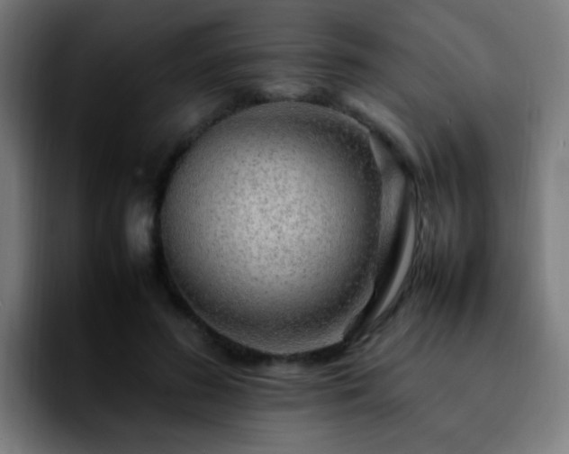 X0000092280596200709211157