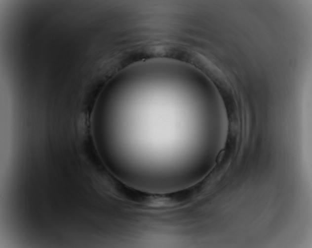 X0000092280605200709211157