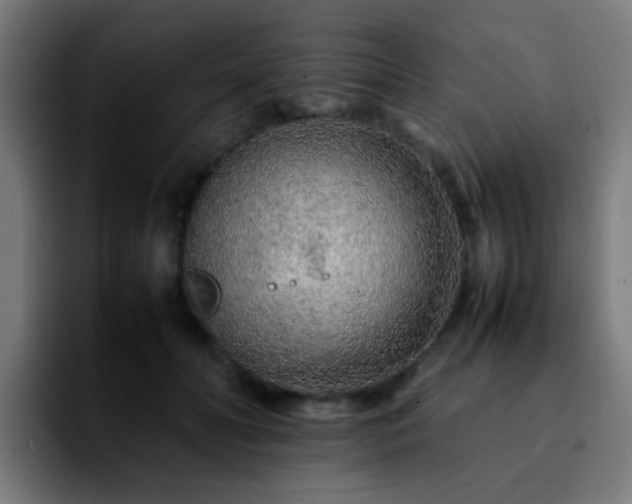 X0000092280606200709211157