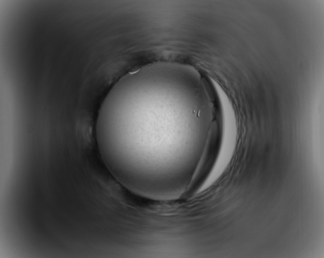 X0000092280615200709211156