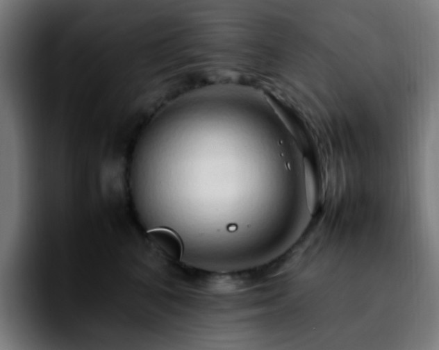 X0000092280616200709211156