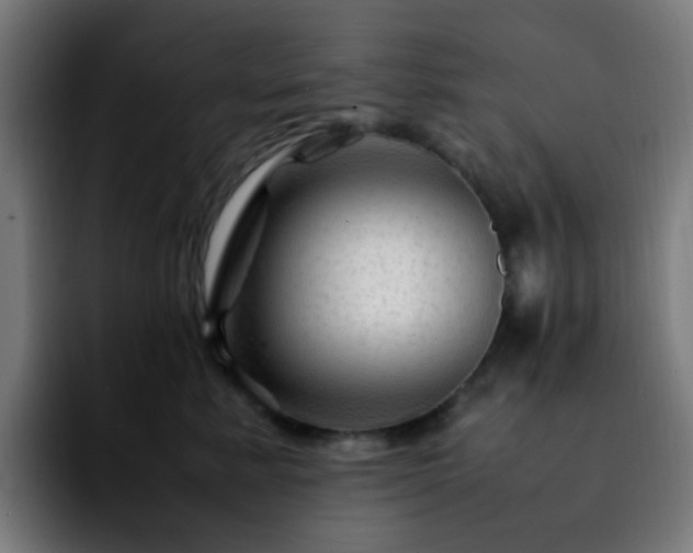 X0000092280619200709211156