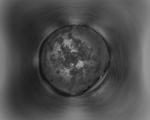 X0000092280630200709211156