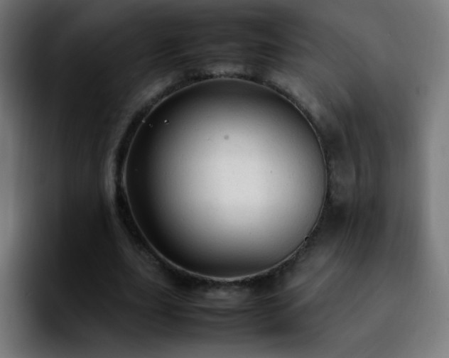 X0000092280631200709211156