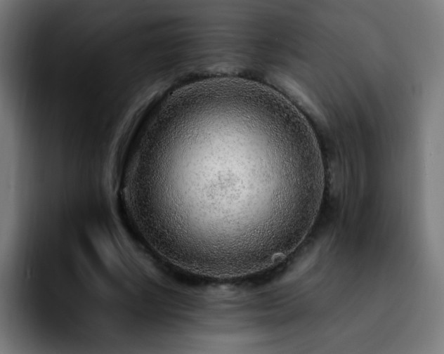 X0000092280634200709211156