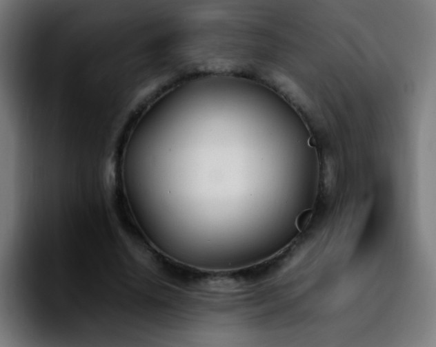 X0000092280636200709211156