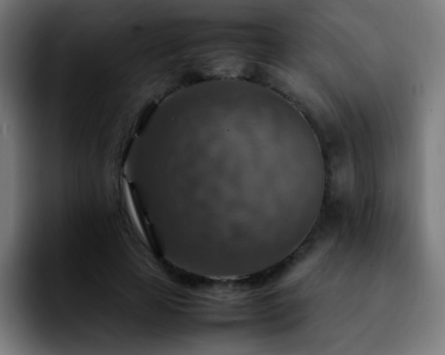 X0000092280641200709211156