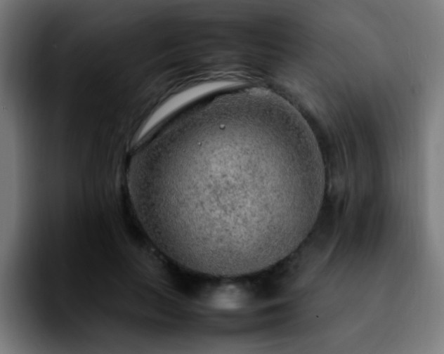 X0000092280647200709211156