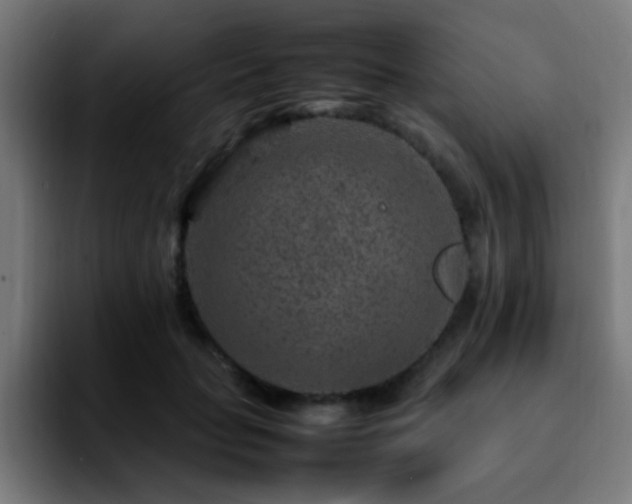 X0000092280653200709211156