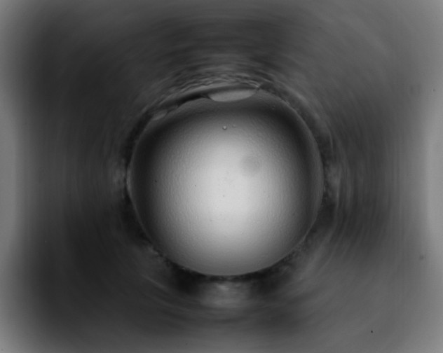 X0000092280657200709211156