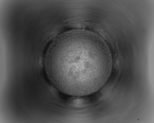 X0000092280658200709211156