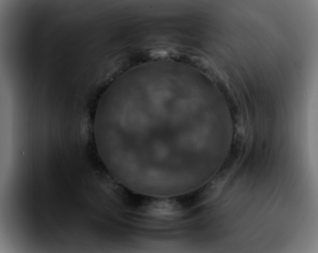 X0000092280659200709211156