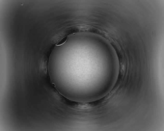 X0000092280666200709211156