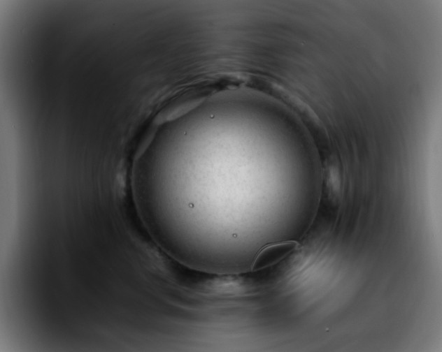 X0000092280668200709211156