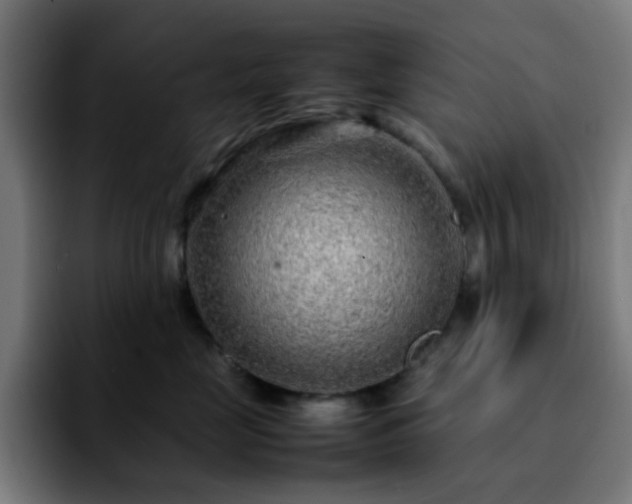 X0000092280669200709211156