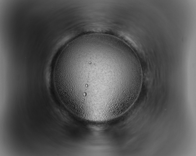 X0000092280679200709211156