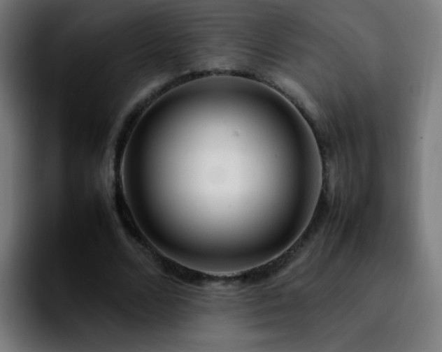 X0000092280680200709211156