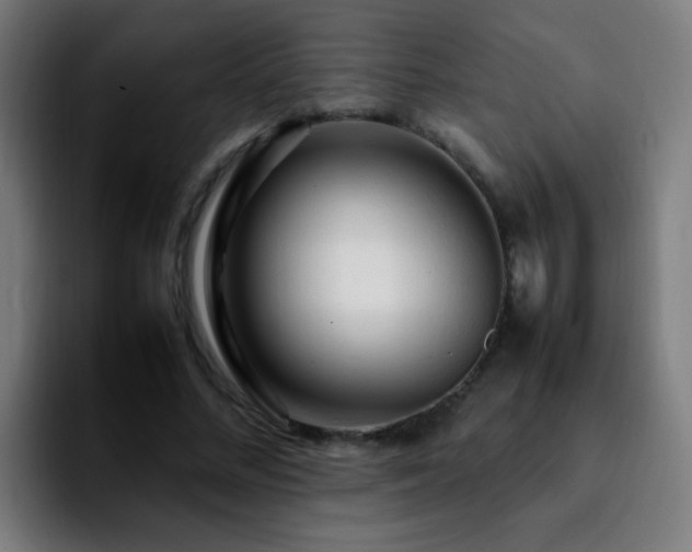 X0000092280684200709211156