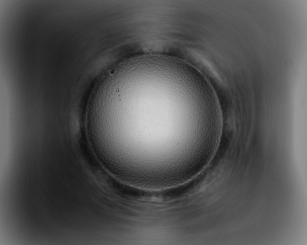 X0000092280687200709211156