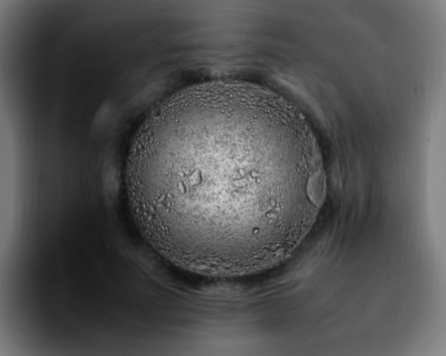 X0000092280691200709211156