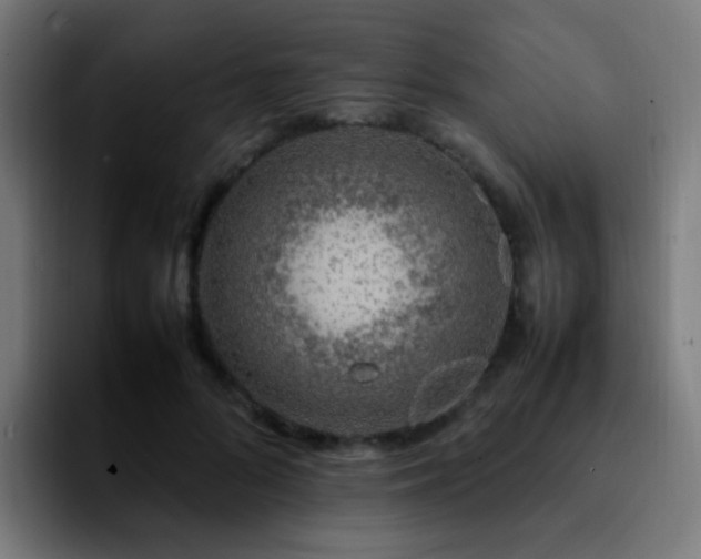 X0000092280696200709211155