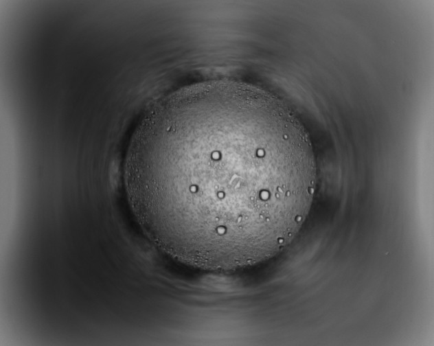 X0000092280699200709211155