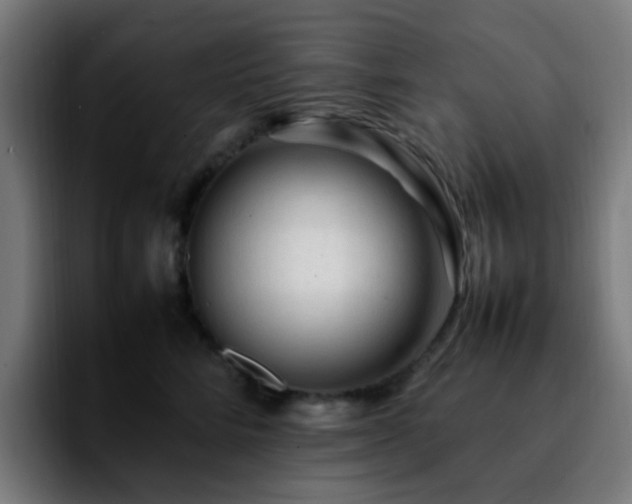 X0000092280712200709211155