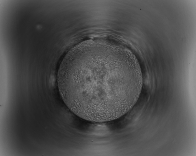 X0000092280715200709211155