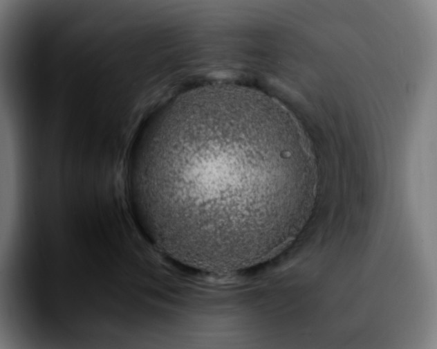 X0000092280720200709211155