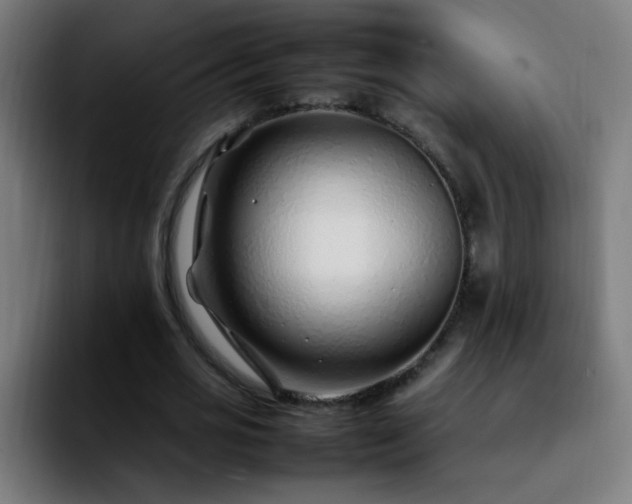 X0000092280725200709211155