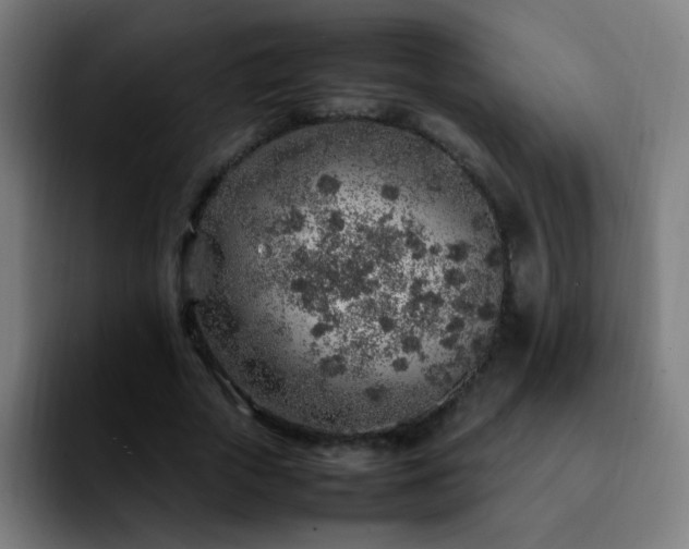 X0000092280729200709211155