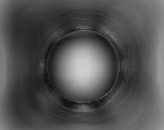 X0000092280741200709211155