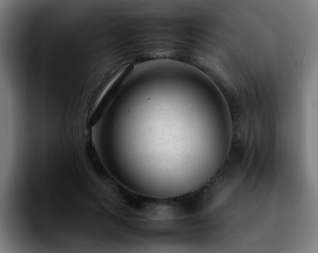 X0000092280743200709211155