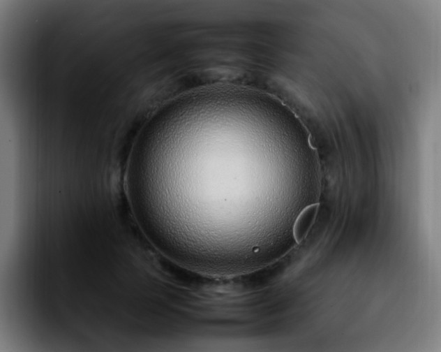 X0000092280745200709211155