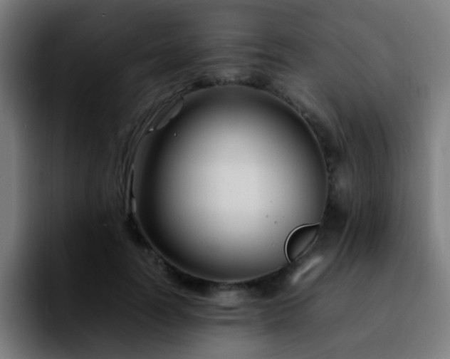 X0000092280746200709211155