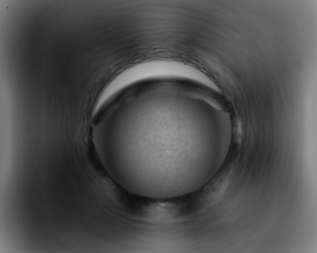 X0000092280748200709211155