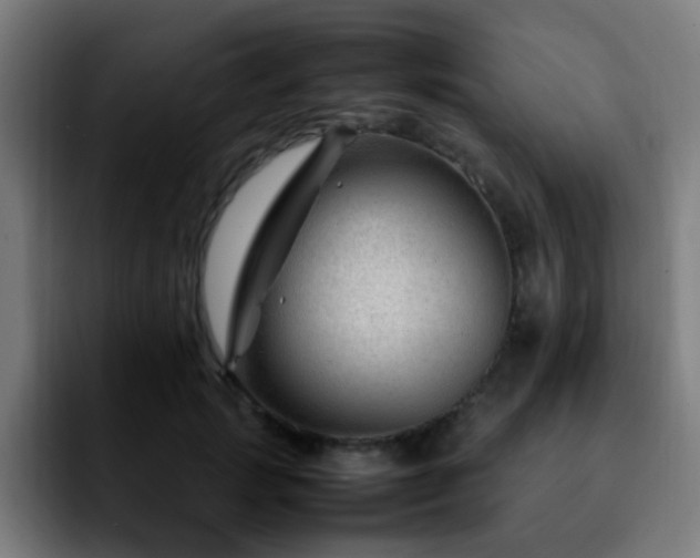 X0000092280749200709211155