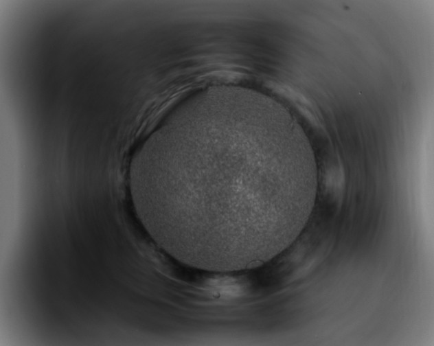 X0000092280759200709211155