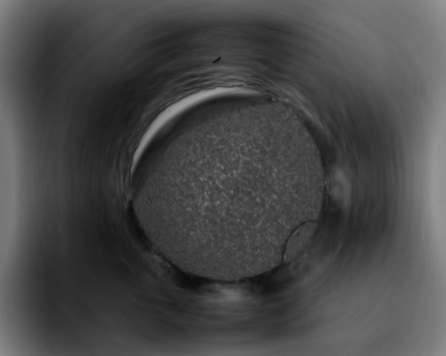 X0000092280763200709211155