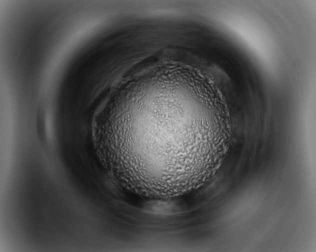 X0000092280765200709211155