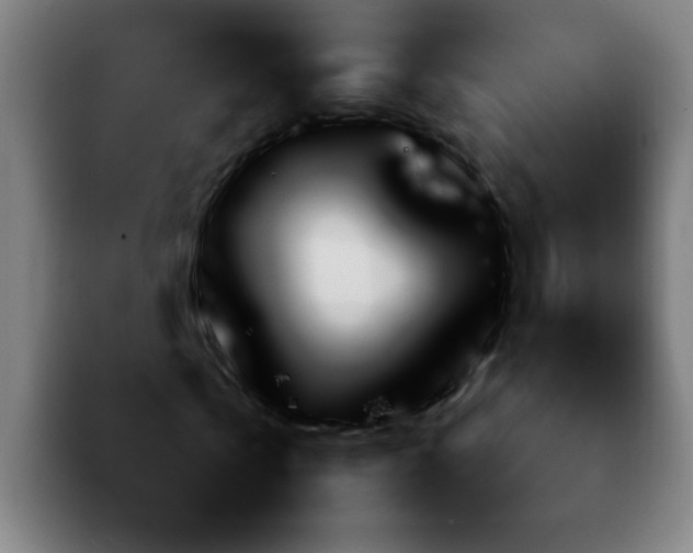 X0000092280769200709211155