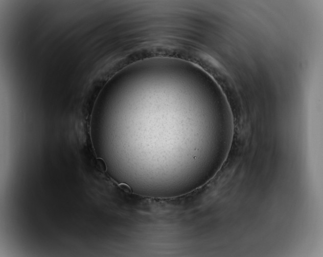 X0000092280774200709211155