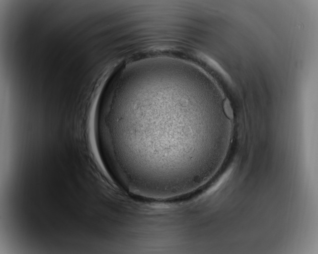 X0000092280777200709211155